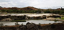 4 Dinosaur Track